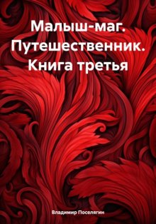 Малыш-маг. Путешественник. Книга третья