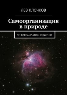 Самоорганизация в природе. Selforganisation in Nature