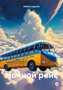Ночной рейс