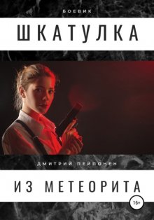 Шкатулка из метеорита