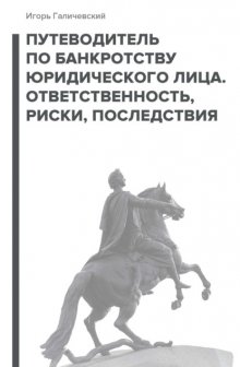 Путеводитель по банкротству юридического лица. Ответственность, риски, последствия