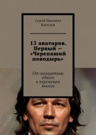 13 аватаров. Первый – «Черепаший поводырь». От инициативы одного к переменам многих