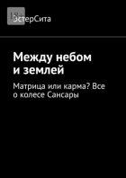 Между небом и землей. Матрица или карма? Все о колесе Сансары