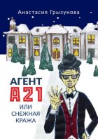 Агент А21, или Снежная кража