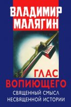 Глас вопиющего. Священный смысл несвященной истории. Статьи и очерки разных лет