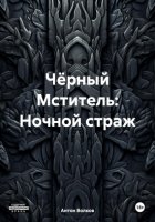 Чёрный Мститель: Ночной страж