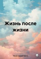 Жизнь после Жизни