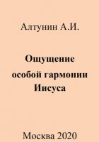 Ощущение особой гармонии Иисуса