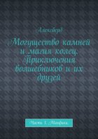 Могущество камней и магия колец. Приключения волшебников и их друзей. Часть 1. Минфики