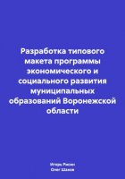 Разработка типового макета программы экономического и социального развития муниципальных образований Воронежской области