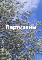 Партизаны