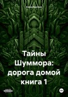 Тайны Шуммора: дорога домой книга 1