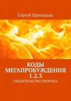 Коды мегапробуждения 1.2.3. Свидетельство пророка