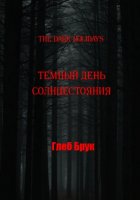 The Dark Holidays. Темный день солнцестояния