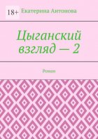 Цыганский взгляд – 2. Роман