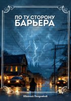 По ту сторону барьера