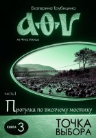 Точка выбора (серия: Аз Фита Ижица. Часть I: Прогулка по висячему мостику. Книга 3)