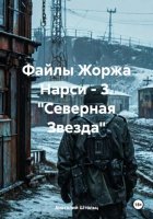 Файлы Жоржа Нарси – 3. «Северная Звезда»