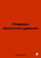 Операция «Выпустить дракона»