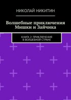 Волшебные приключения Мишки и Зайчика. Книга 2: Приключения в волшебной стране