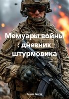 Мемуары войны : дневник штурмовика