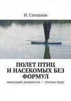 Полет птиц и насекомых без формул. Машущий движитель – птичье перо