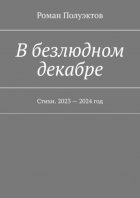 В безлюдном декабре. Стихи. 2023 – 2024 год