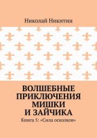 Волшебные приключения Мишки и Зайчика. Книга 5: «Сила осколков»