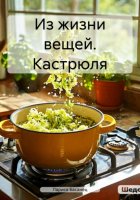 Из жизни вещей. Кастрюля