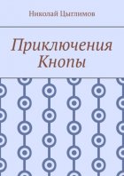 Приключения Кнопы