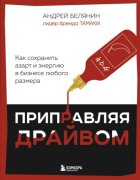 Приправляя драйвом. Как сохранить азарт и энергию в бизнесе любого размера