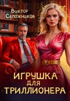 Игрушка для триллионера