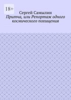 Притча, или Репортаж одного космического похищения