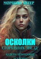 Осколки сгоревших звёзд. Книга 1. Кадеты Нефритовой Академии