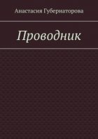 Проводник