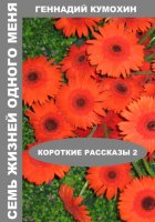 Семь жизней одного меня. Короткие рассказы 2