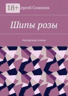 Шипы розы. Авторские стихи