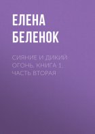 Сияние и дикий огонь. Книга 1. Часть вторая