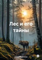 Лес и его тайны