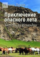 Приключение опасного лета. Записки из Исландии