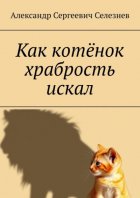 Как котёнок храбрость искал