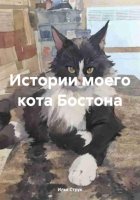 Истории моего кота Бостона