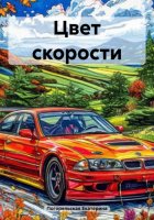 Цвет скорости