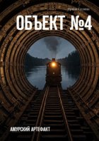 Объект №4. Амурский артефакт