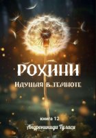 книга 12. РОХИНИ. Идущая в темноте.