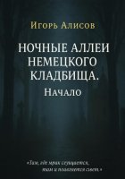 Ночные аллеи Немецкого кладбища. Начало