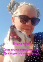 Семь моих турецких лет. Два года после развода