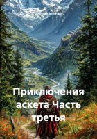 Приключения аскета Часть третья