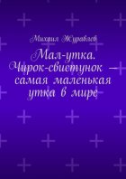 Мал-утка. Чирок-свистунок – самая маленькая утка в мире