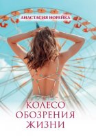 Колесо обозрения жизни